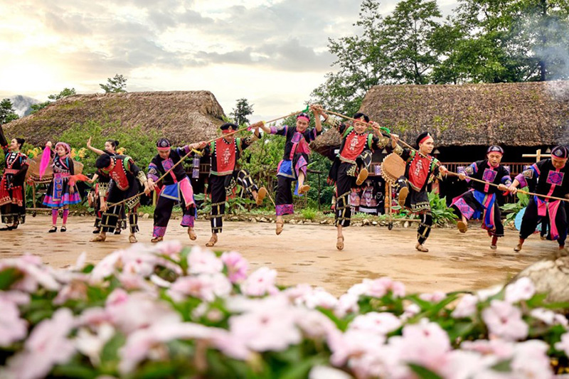 Sapa